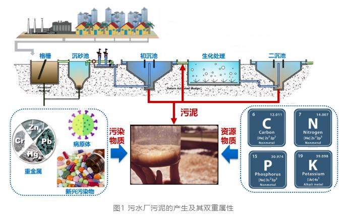 基于等電點預處理的新型污泥厭氧消化技術